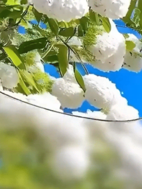 Side profile of diamond-cut rimless reading glasses