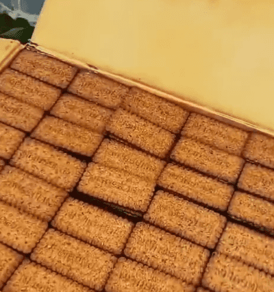 Honeycam 2025-05-30 09-47-36.gif