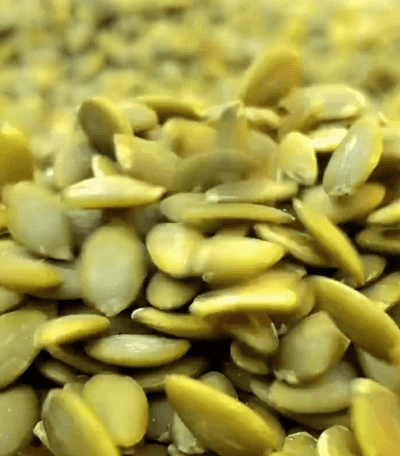 Honeycam 2025-07-26 17-50-36.gif