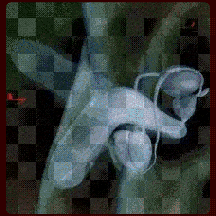 详情_04.gif