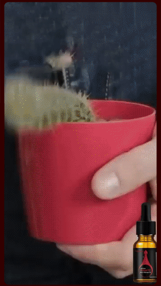 详情_06.gif