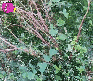 1721238446202766_08-1 (2).gif