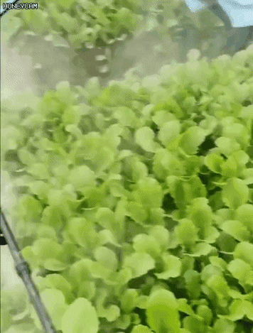 1721238446202766_17-1 (2).gif