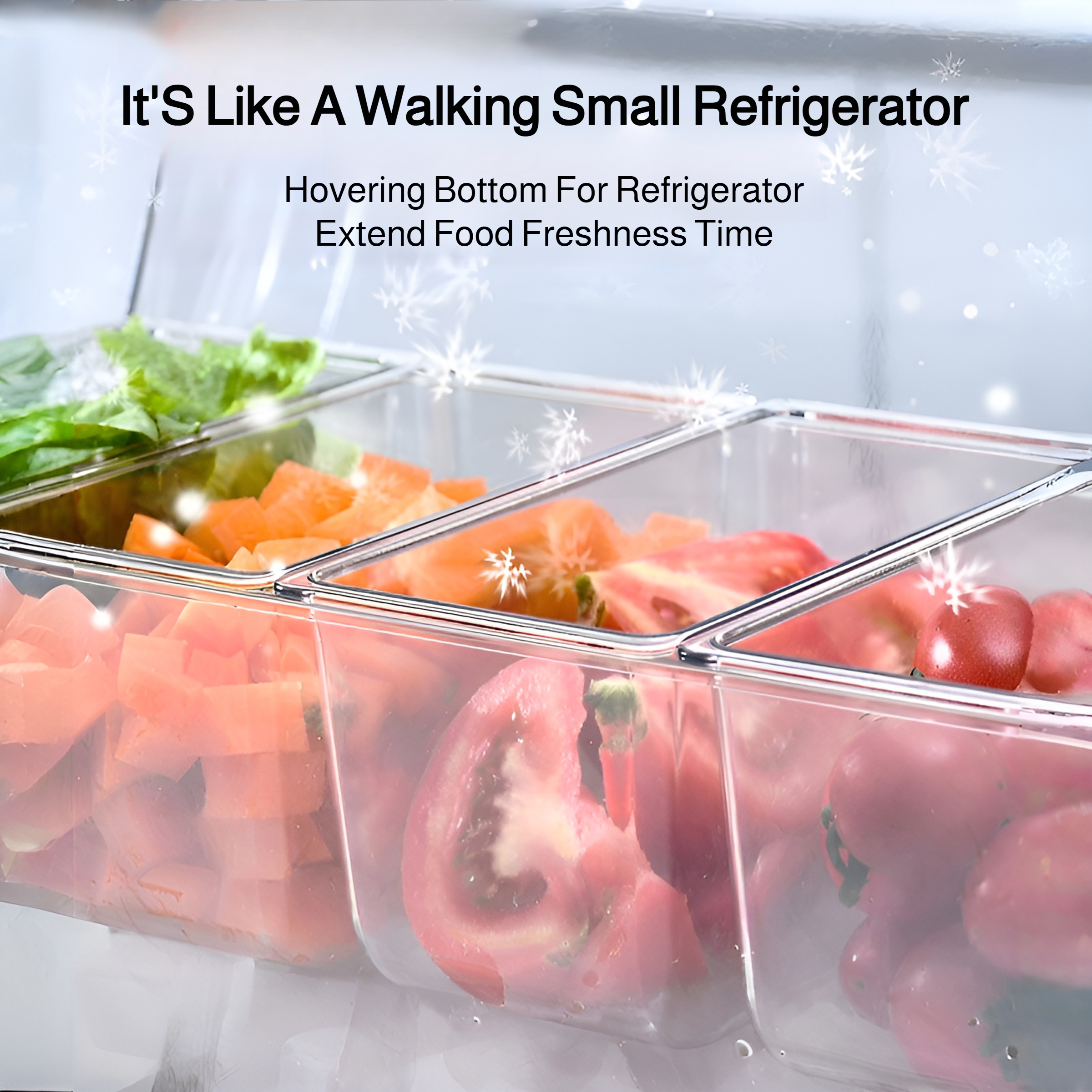 Home use salad organizer with multiple compartments