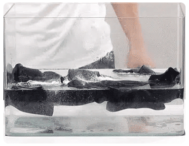 1 (4).gif