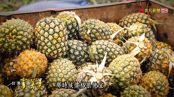 1603525774150428.gif 八卦山土鳳梨酥 酸甜味年銷百萬顆【台灣真善美】2019.08.11_20201023150050.gif