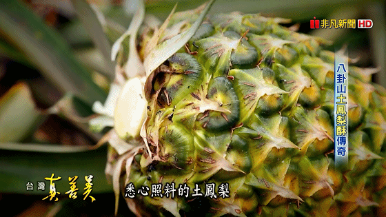 1603525891564965.gif 八卦山土鳳梨酥 酸甜味年銷百萬顆【台灣真善美】2019.08.11_20201023151733.gif