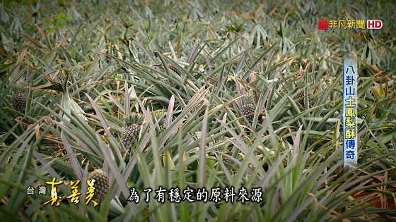 1603527253815755.gif 八卦山土鳳梨酥 酸甜味年銷百萬顆【台灣真善美】2019.08.11_20201023155110.gif