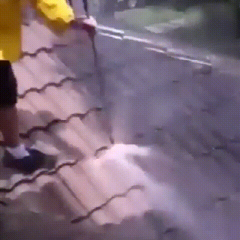 1624701951811819.gif