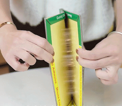 4.gif