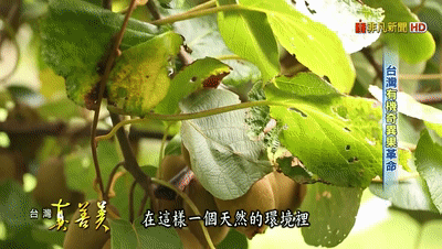 1601021591527509.gif