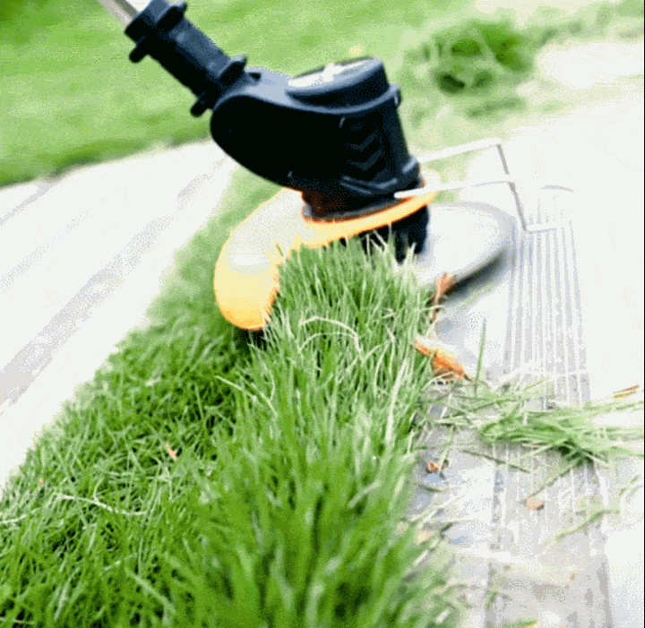 image_09.gif