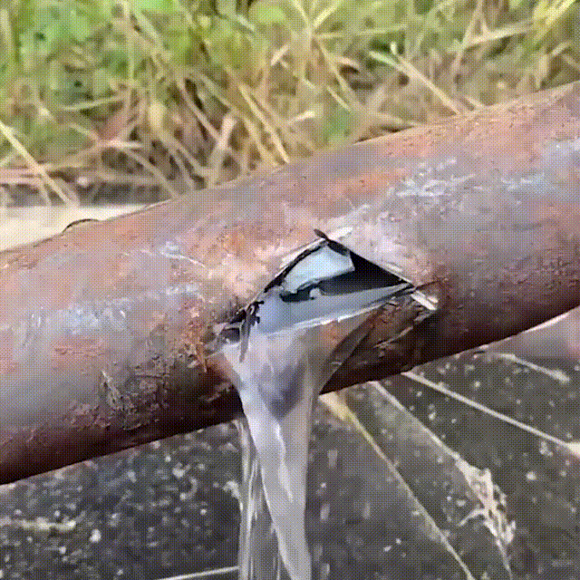 1-1 00_00_00-00_00_30.gif