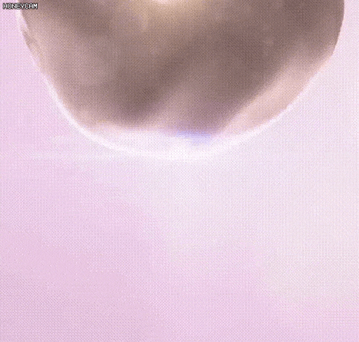 KR-1144873-HFH-全新提拉面雕紧致面罩MAX-秦丹_32.gif