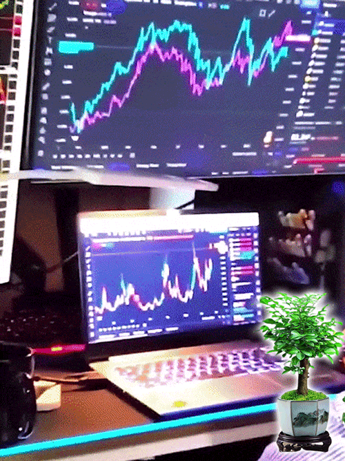 翻译件-JC-珍稀禅意小叶紫檀-1147890_11-5.gif