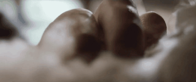 DY-2_32.gif
