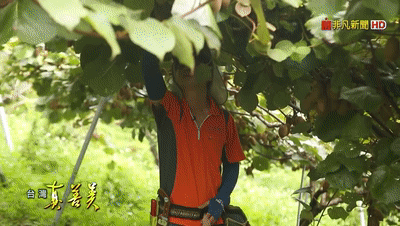 1601021577801922.gif